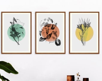 Botanical Set of 3 Prints, Botanical Print Set of 3, Modern Wall Art ...