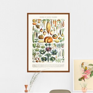 Printable Botanical Wall Decor, Vintage Vegetable Print for Your Kitchen Decor, Printable Kitchen Illustration, Printable Kitchen Wall Art