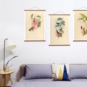 Set of 3 Wooden Hangers and Canvas Prints,  Antique Bird Prints on Canvas with Oak Wooden Hangers, Set of 3 Canvas Prints for Your Lounge