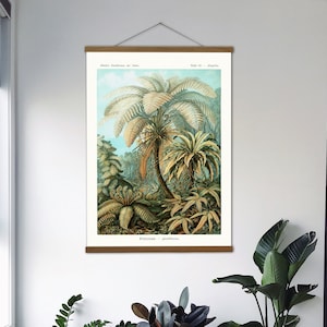 Vintage Palmen Leinwand Hängen und Eichen Kunst Rahmen, Tropischer Leinwand Druck und Holz Aufhänger Kunst Rahmen, Ernst Haeckel Wandkunst für Ihre Lounge