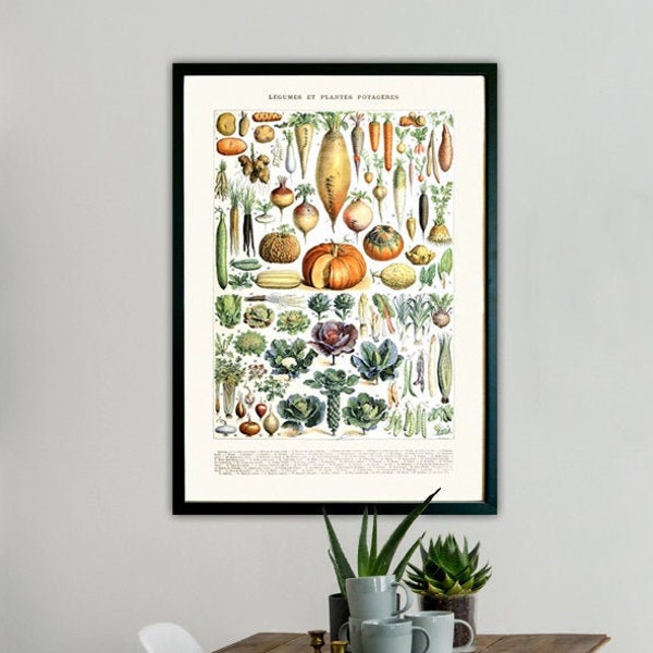 vintage Vegetable Kitchen Print, Kitchen Botanical Wall Art for Your Home, Kitchen Wall Art Home Decor, Boho vintage Wall Art Illustration
