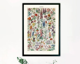 Vintage French Flowers Botanical Print, Antique Floral Wall Art