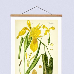 Vintage Botanische Leinwand hängend und Holz Aufhänger Kunstrahmen, Blumen Leinwand Hängende Wandkunst für Ihre Lounge, Lehrkarte