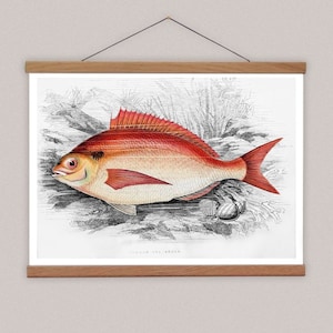 Affiche de pêche vintage, cintre en bois et impression sur toile de poisson, idée de cadeau de pêche, accrochage mural de bureau et cintre d’affiche magnétique, décor pour garçons