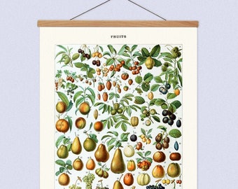 Vintage Fruit Canvas Hanging and Wooden Hanger Art Frame, Kitchen Botanical Canvas Hanging, Kitchen Wall Art for Home Decor, Canvas Chart