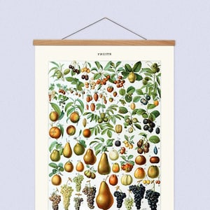 Vintage Obst Leinwand hängen und Holz Kleiderbügel Kunstrahmen, Küche botanische Leinwand hängen, Küche Wandkunst für Wohnkultur, Leinwand Karte