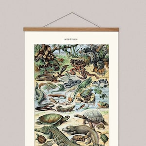 JungenZimmer Dekor, Vintage Reptil Leinwand Wandkunst und Holz Kleiderbügel für Ihr Kleines Schlafzimmer, Pädagogisches Poster, Naturgeschichte Leinwand