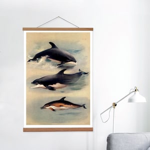 Impression murale en toile vintage et cintre en bois pour votre maison, carte en toile de dauphin et cintre magnétique, impression sur toile marine pour votre maison