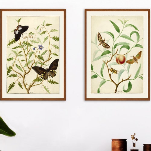 Set of 2 Wall Art Prints Set of 2 Vintage Botanical Prints Etsy