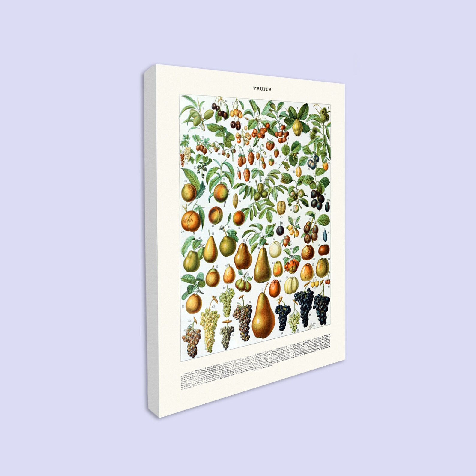 Canvas Wall Art for Your Kitchen Canvas Wall Art Featuring Etsy UK