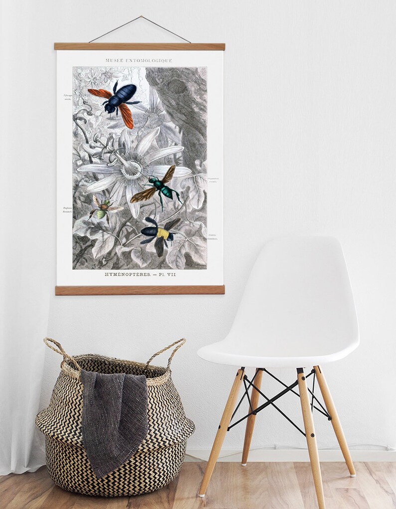 Children's Canvas Wall Art Bees Bugs Butterflies Print Etsy UK