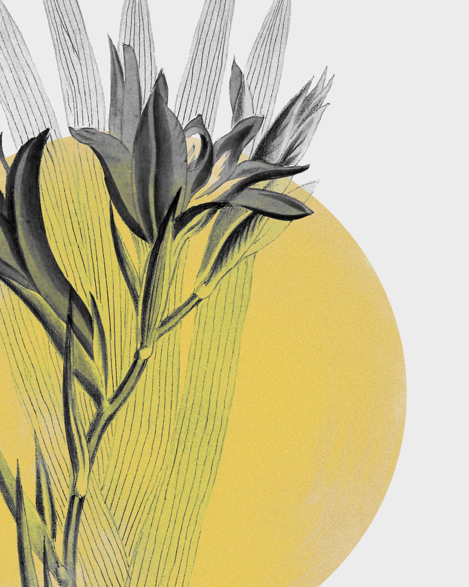 Bedroom Wall Art Set of 3 Botanical Prints Set of 3 Canvas Etsy UK