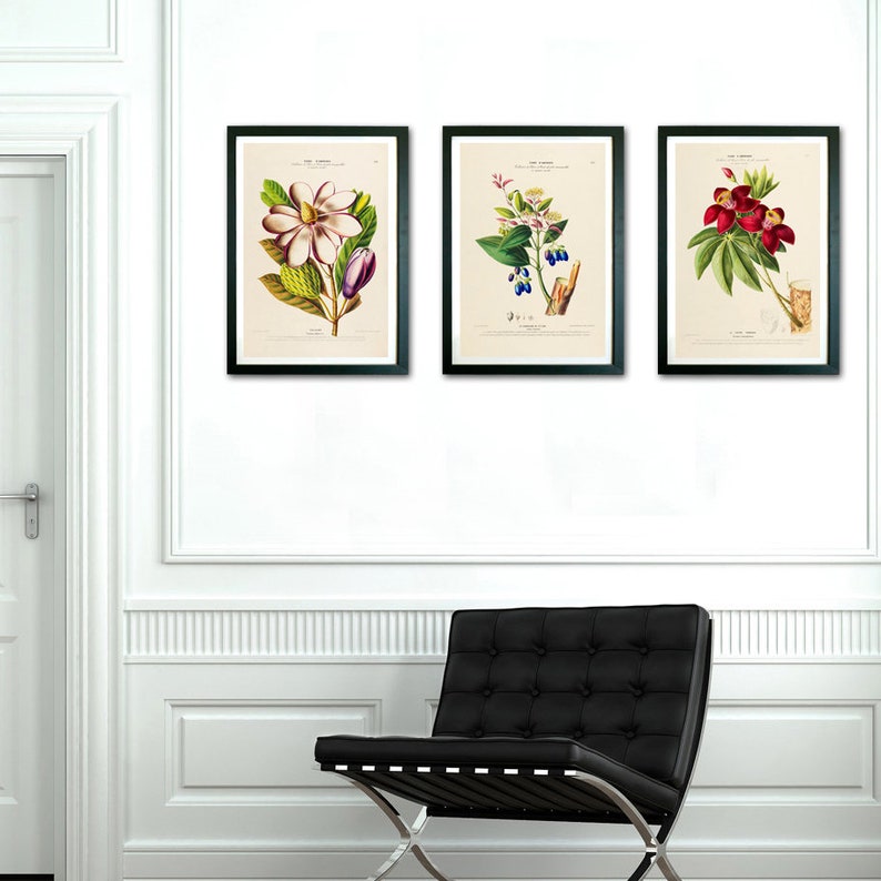 Botanical Set of 3 Prints, Botanical Print Set of 3, Modern Wall Art ...
