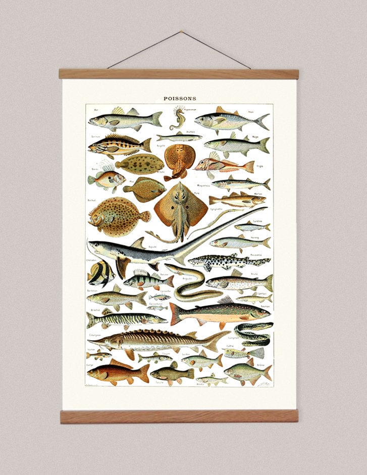 Wooden Poster Frame for Kids Bedroom, Vintage Fish Poster