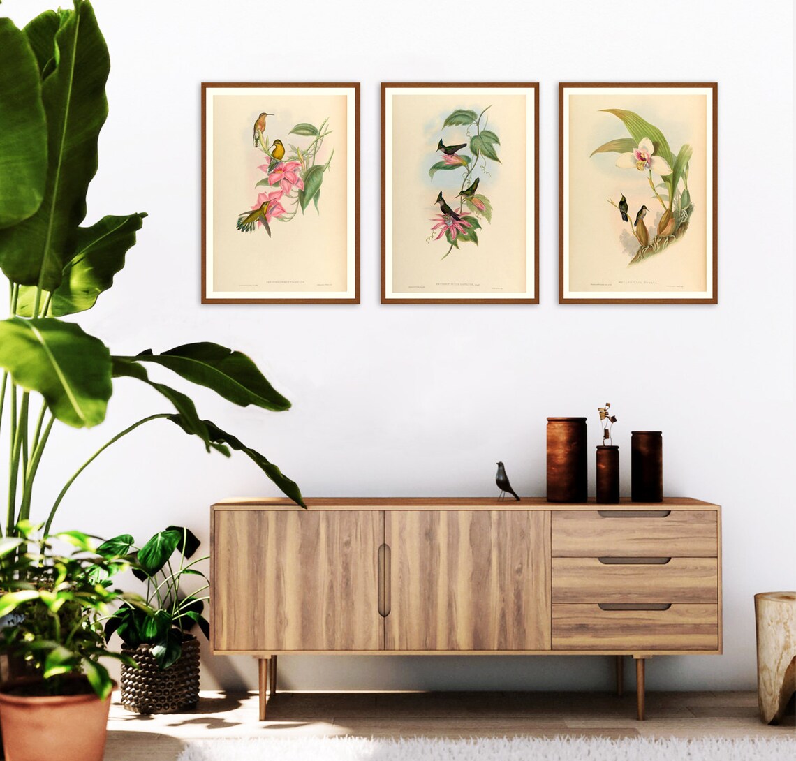 Set of 3 Framed Prints Frame Lounge Wall Art Set of 3 Etsy UK
