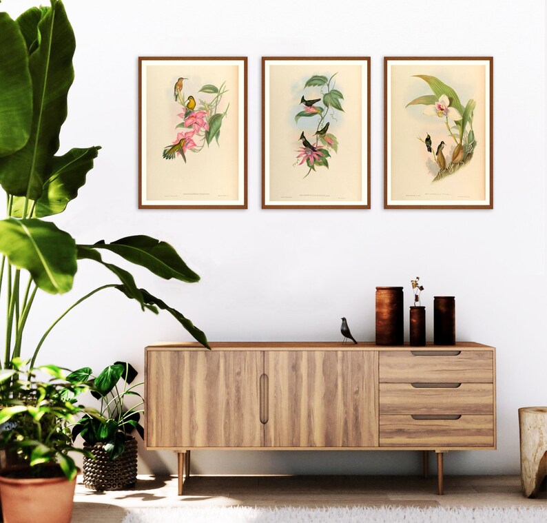 Set of 3 Framed Prints Frame Lounge Wall Art Set of 3 Etsy UK