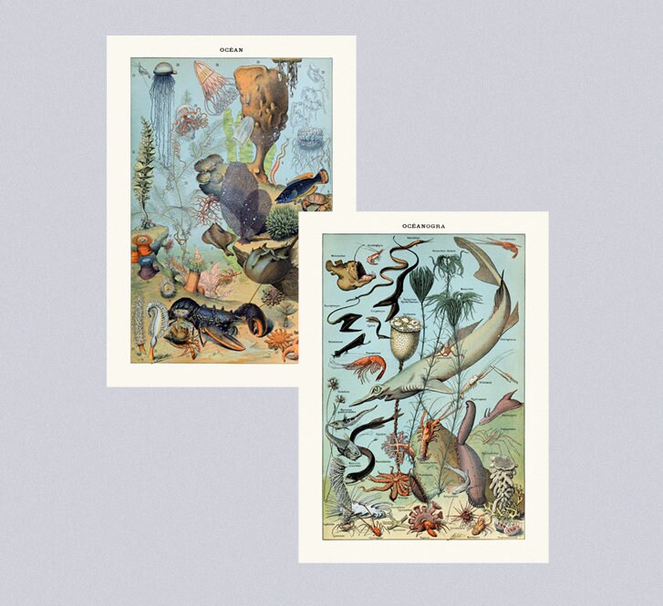 Children's Canvas Wall Art Set of 2 Canvas Prints Sea Etsy