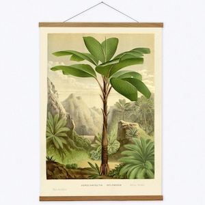 Tela de palmeira tropical para pendurar e moldura de arte de carvalho, impressão em tela vintage e moldura de arte de cabide de madeira, arte de parede tropical para sua sala de estar