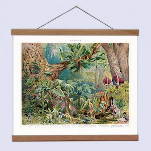 Boho Leinwandbehang und Eiche Kunstrahmen, Botanischer Floraler Leinwanddruck und Holzaufhänger, Floraler Aufhänger, Leinwand Wandkunst für Ihre Lounge