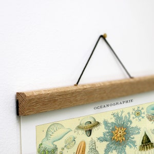 Sea Life Science Educatieve Canvas Kunst aan de muur en houten hanger voor de slaapkamer van uw kleintje, Sea Life Canvas Print en houten frame hanger