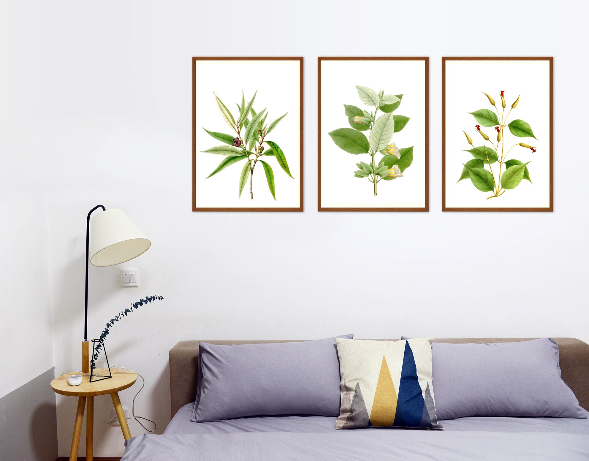 Botanical Print Set Botanical Plant Set of 3 Prints for Your | Etsy