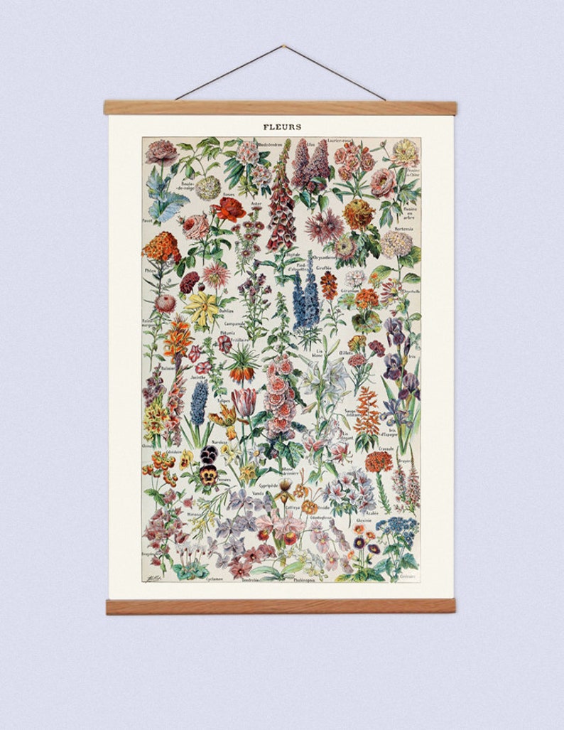 Vintage Botanical Canvas Hanging and Wooden Hanger Art Frame, French Flowers Canvas Hanging Wall Art for Your Lounge, Educational Chart image 2