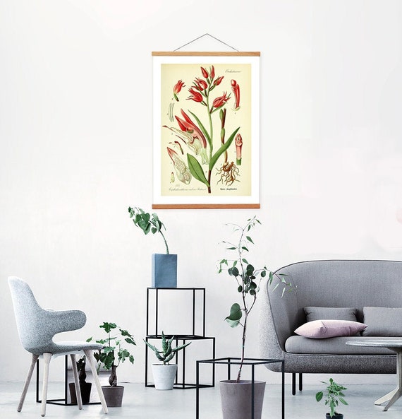 Vintage Orchid Botanical Print, Canvas Wall Hanging with Magnetic Wood Hanger