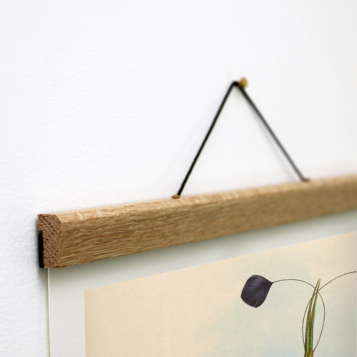 Set of 3 Wooden Hangers and Canvas Prints Antique Bird Prints Etsy UK