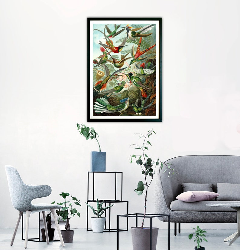 Framed Wall Art for Your Lounge Framed Hummingbird Print Etsy UK