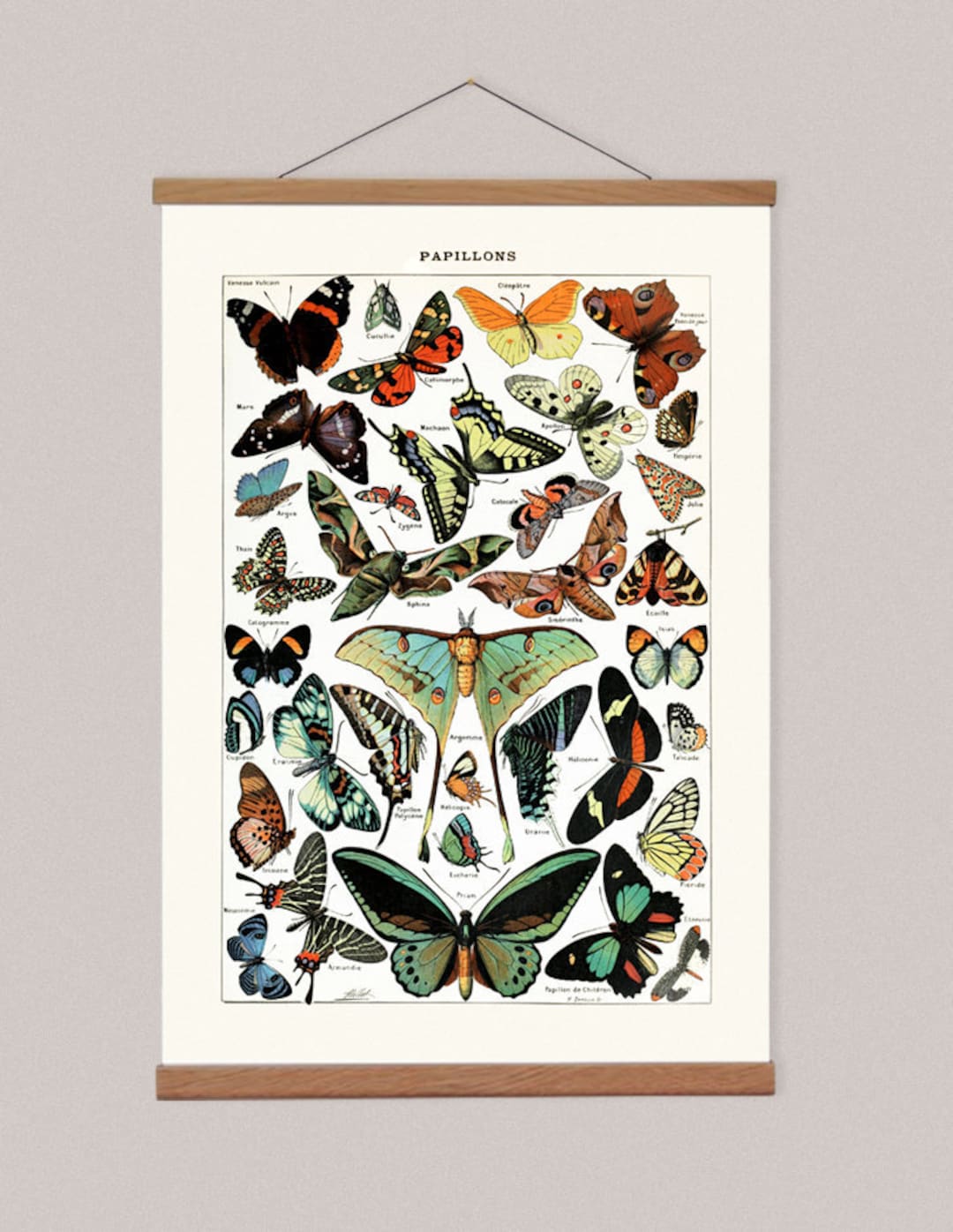 Vintage Butterfly Print, Wooden Poster Hanger and Vintage Butterfly ...