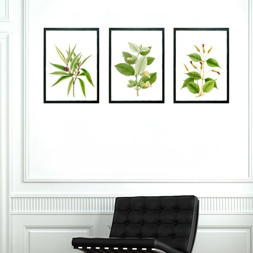 Botanical Print Set, Botanical Plant Set of 3 Prints for Your Home, Set ...