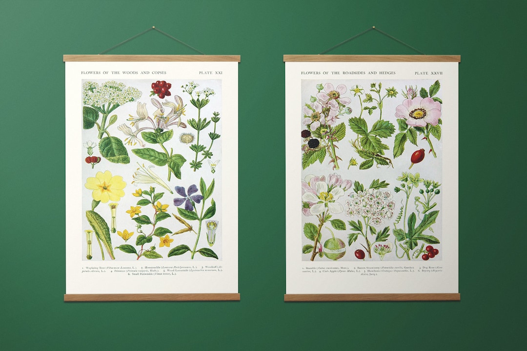 Vintage Botanical Prints, Set of 2 Wooden Hangers and Canvas Prints ...