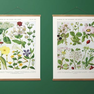 Vintage Botanische Drucke, Set von 2 Holz Kleiderbügeln und Leinwanddrucken, Leinwand Wandkunst Holz Aufhänger für Ihre Lounge, Schlafzimmer Interior Ideen
