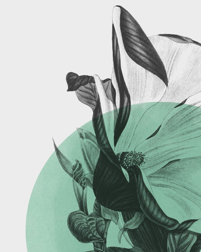 Set of 3 Canvas Prints Botanical Canvas Print Set of 3 Etsy UK