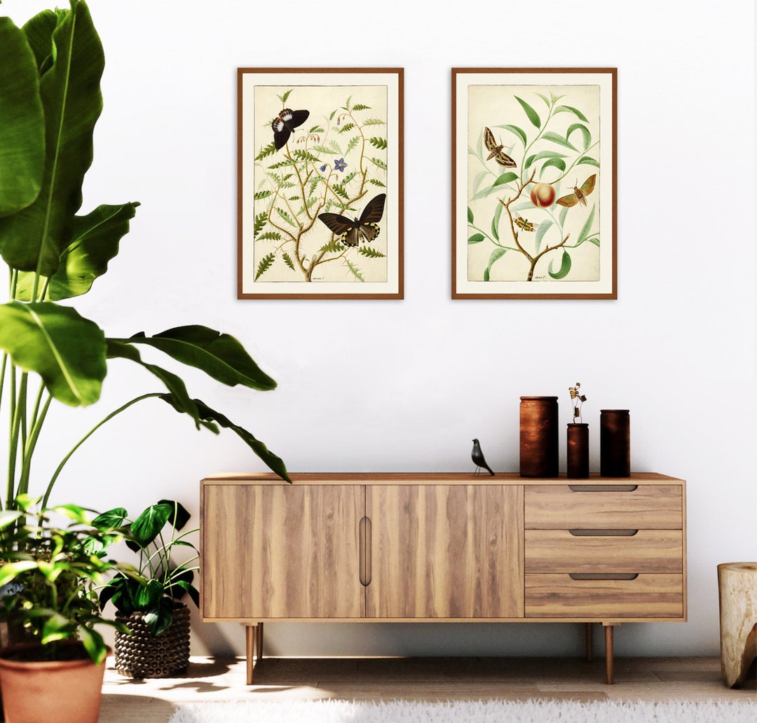 Set of 2 Wall Art Prints, Set of 2 Vintage Botanical Prints, Butterfly ...