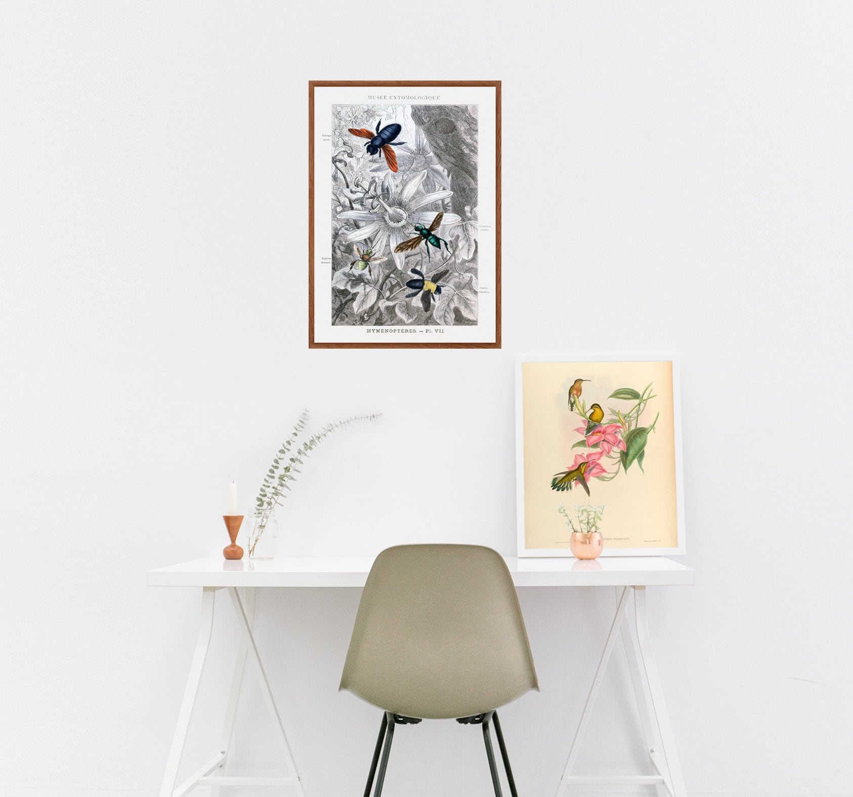 Children's Canvas Wall Art Bees Bugs Butterflies Print Etsy UK