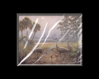 Art Print "Generations" Sand Hill Cranes by Ben W. Essenburg