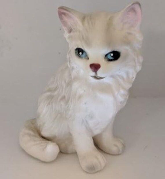 pretty white cat with blue eyes