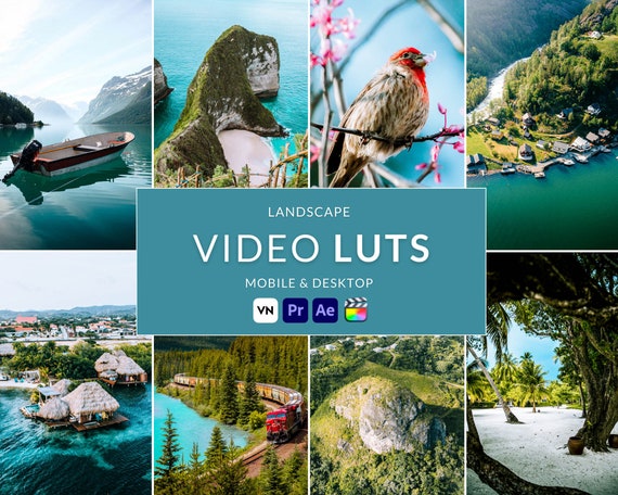 Landscape Video LUTs, Cinematic Film Presets (10 .cube Files) (Digital Download)