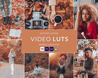 Autumn Leaves Video LUTs, Cinematic Film Presets (Digital Download)
