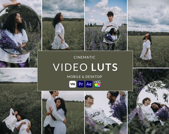 Cinematic Video LUTs, Film Look Presets (9 .cube files, Digital Download)