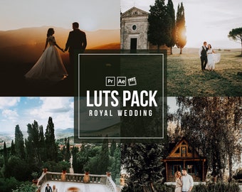 lut preset adobe premiere