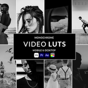8 Monochrome Video LUTs, Final Cut Pro luts, Film luts, Luts Video, Cube luts, Adobe Premiere Pro, Video Presets, Video Editing,VN editor
