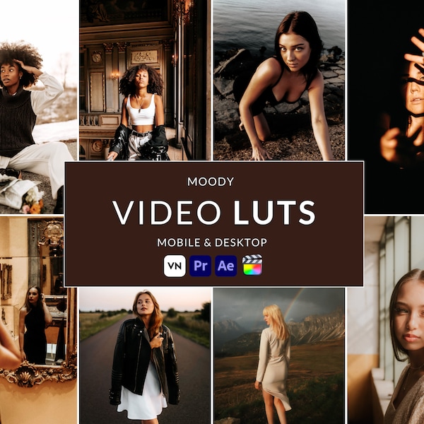 15 Moody Video LUTs, Final Cut Pro luts, Film luts, Luts for Video, Cube luts, Adobe Premiere Pro, Video Presets, Video Editing,VN editor