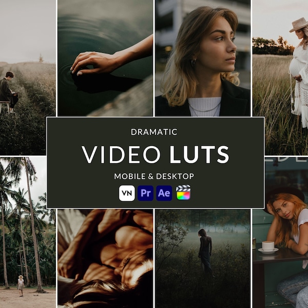 10 Dramatic Video LUTs, Final Cut Pro luts, Film luts, Luts for Video, Cube luts, Adobe Premiere Pro, Video Presets, Video Editing,VN editor