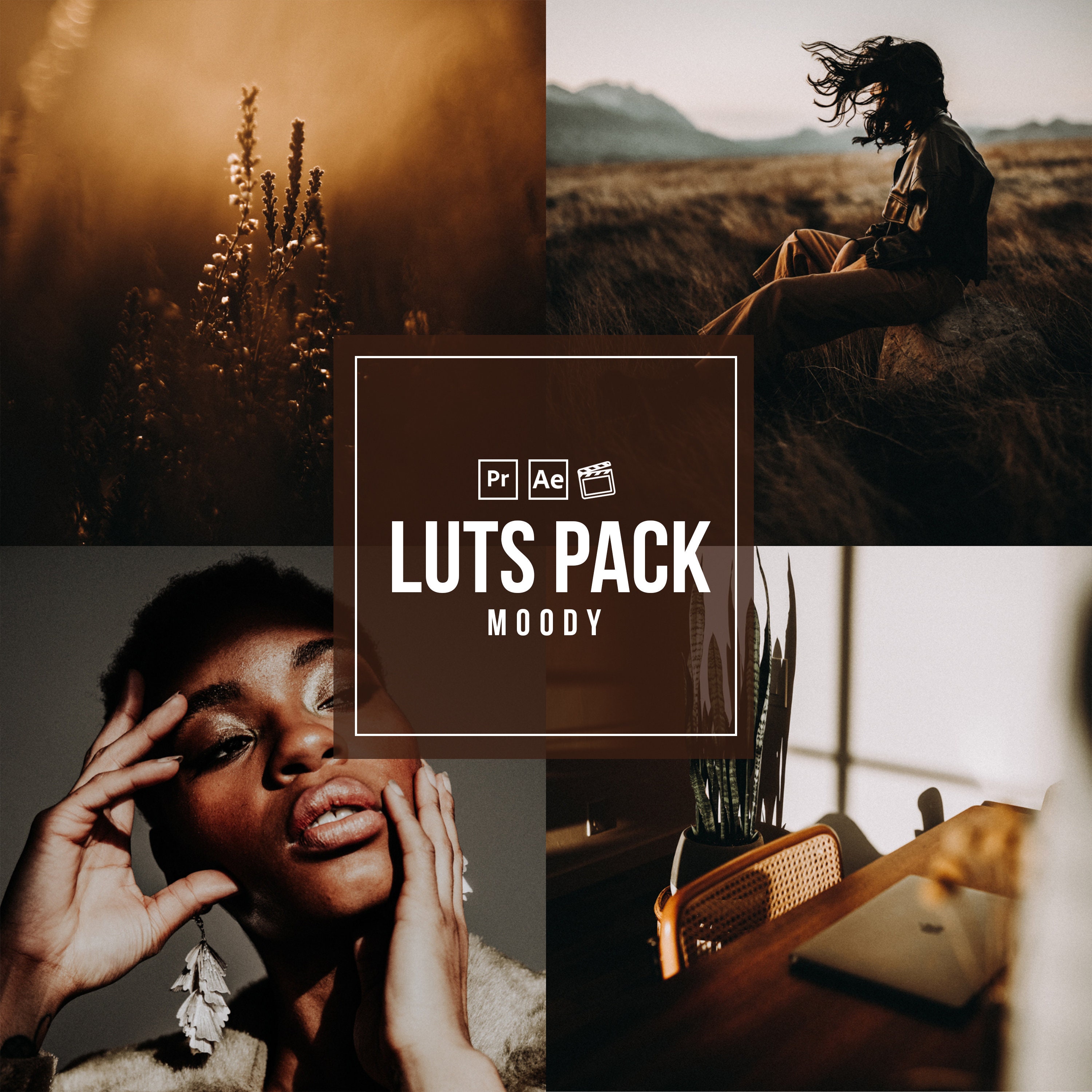 premiere pro luts