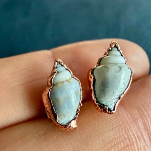May include: A pair of stud earrings featuring small, pale blue-grey spiral seashells encased in a textured copper metal border. The shells have a smooth, natural finish with subtle ridges, and the copper setting follows the organic shape of each shell.