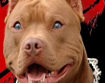 Pitbull Beach Towel - Large Size - Soft and Absorbent - Dog Lover Gift