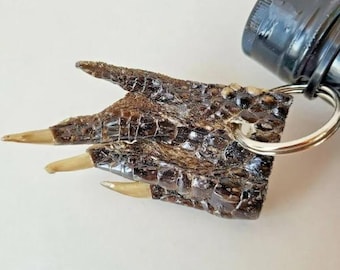 Title: Real Gator Claw Keychain | Authentic Florida Alligator Souvenir | Unique Gift