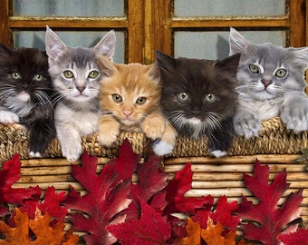 Kitty Cats Beach Towel - Cute Cat Design - 30" x 60" - Cat Lover Gift